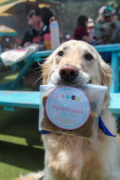 Pawstries Homemade Dog-Treats