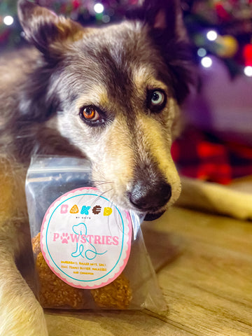Pawstries Homemade Dog-Treats