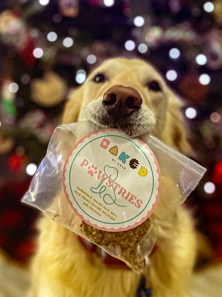 Pawstries Homemade Dog-Treats