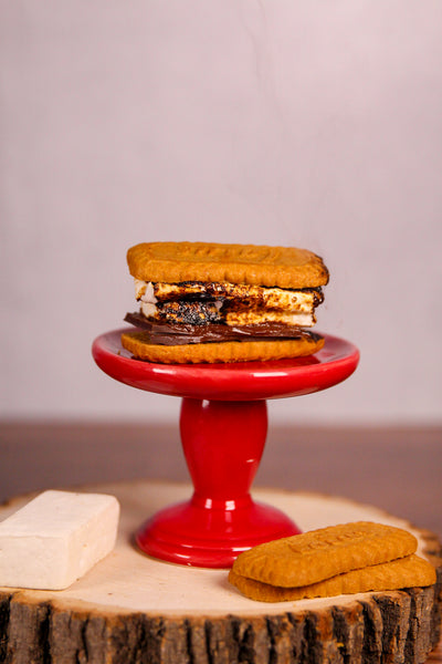 Big Kid S'mores Kit