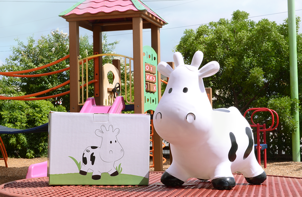 Amy's Ice Creams Bouncy Cow with Box